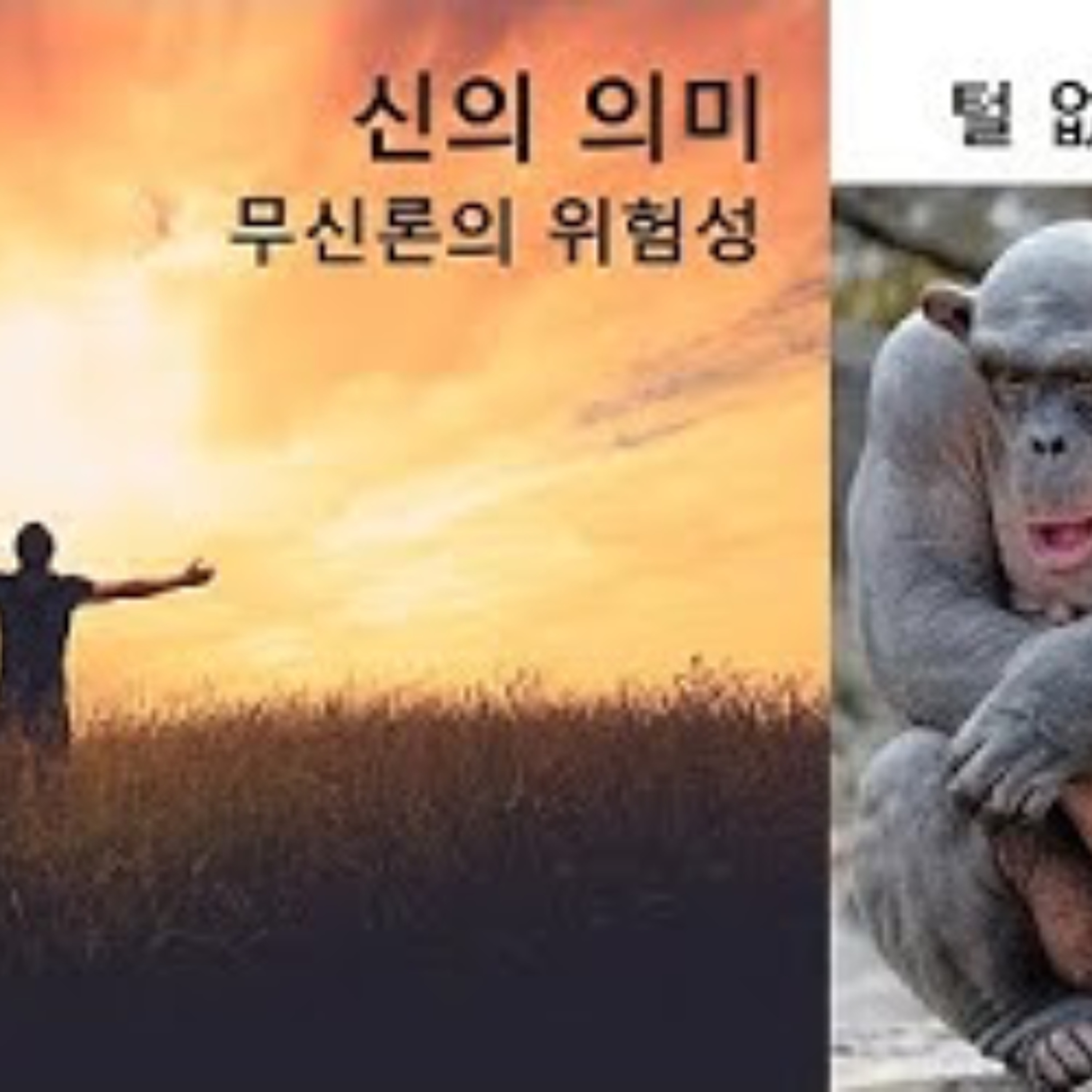 2026-04-19 신의 의미, 무신론의 위험성, 털 없는 원숭이