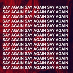 Shelley Johannson - Say Again
