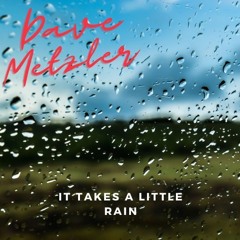 Dave Metzler - It Takes A Little Rain