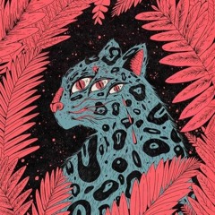 Boots & Big Cats