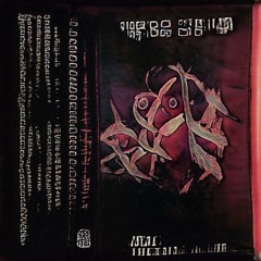 “Active Cutting” Andy Borsz///Zona Zanjeros-November 26,2023