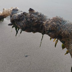 Sniperdeejay w/ Tzu Ni (29/01/25)