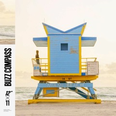 Buzz Compass — 12x11 showcase • Balearic/Disco House