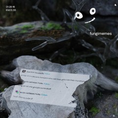 [EGC0.55] fungi.memes > 1:28:15