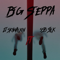 ZT Skywalkin x 5SB Silk-Bigsteppa