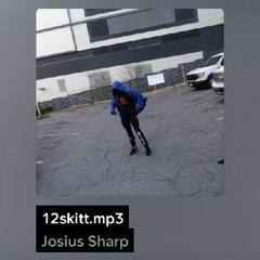 12skitt.mp3