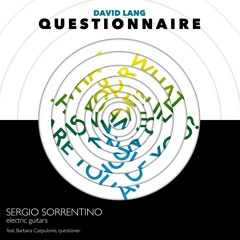 Questionnaire (Part II) David Lang & Sergio Sorrentino