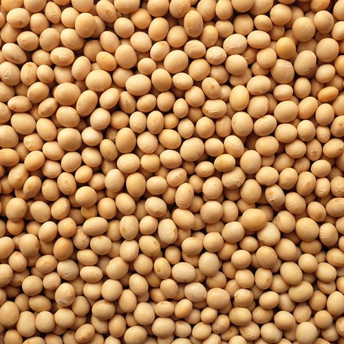 Soy