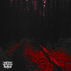 iris black - dark woods dweller (feat. sxope)