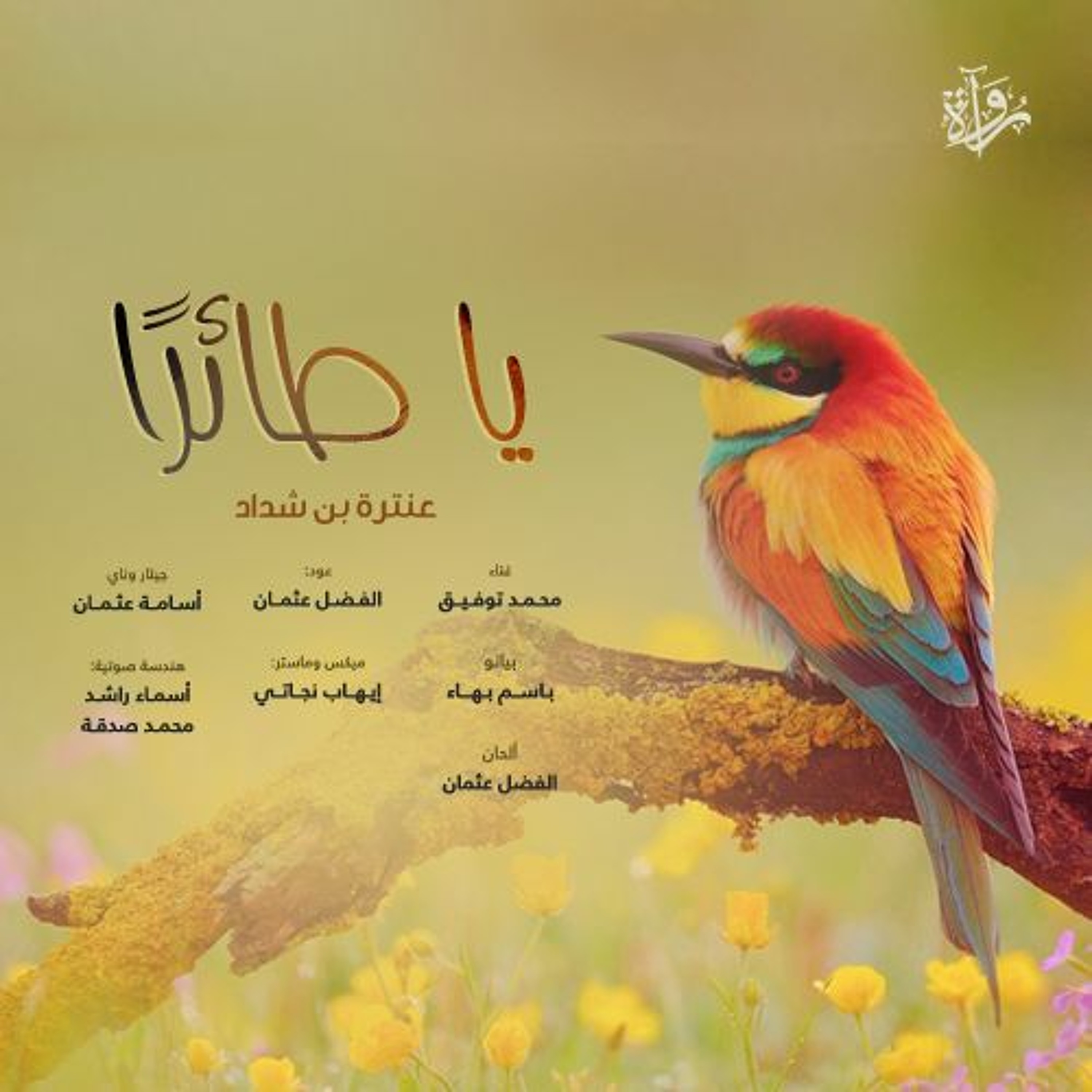 يا طائرًا - عنترة بن شداد (غناء) episode artwork