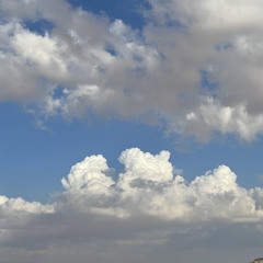 ‎⁨نجم الأسلمي | عسيت براق المطامع من مداهيل السلام ودون الربيع البرد عاوي والعجاج أنفاس غيم ⁩