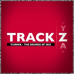 DJ Mike Lewis presents Y23RMIX - The Soundz of 2023
