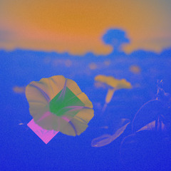 Far Nearer (Lixikul Remix)