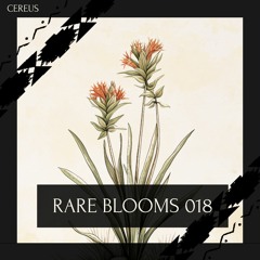 Cereus - Rare Blooms 018