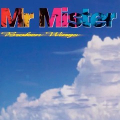 Mr Mister - Broken Wings (Dj Markkinhos Extended Version)