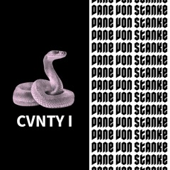 CVNTY I: SHYGIRL, GRIMES, IZZY CAMINA, DIZZY FAE, EARTHEATER, COBRAH, XKYLAR, OTHA, REYSHA RAMI