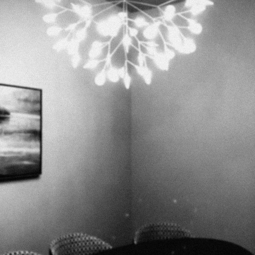 The Humid Room