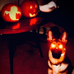 Fright Night