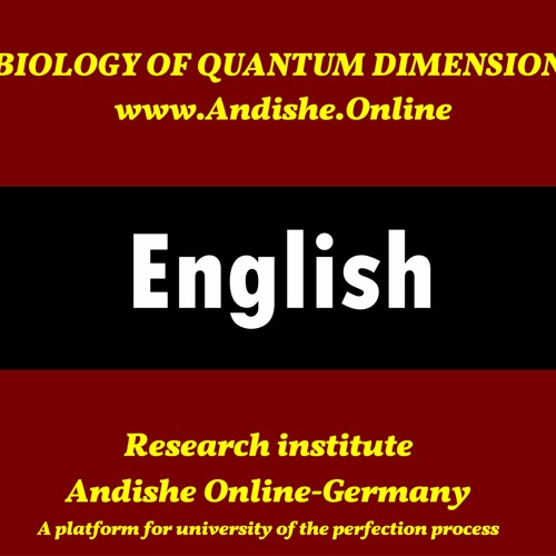 Article No.4  Quantum Mechanics