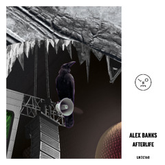 Alex Banks - Impermanence