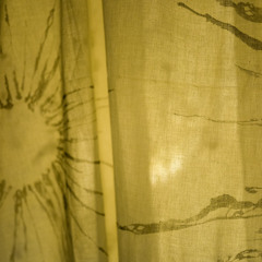 완수 ‘Wansu’ the perfect living thing