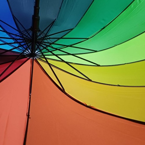 REBORN FROM THE ASHES. DANCING 4EVER