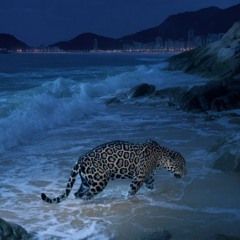 where have you been hoodtrap