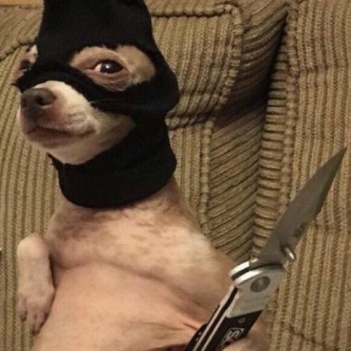 TWISTED KNIFE