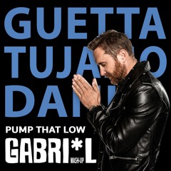 Danko vs. David Guetta, Tujamo & Musical Stories - Pump Money Low (GABRI*L Mashup)
