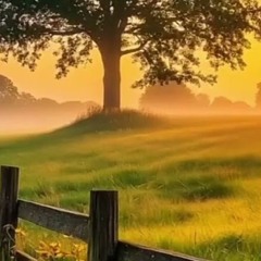 "Зоре моя вечiрняя"    Ю.Юзефович & E.Dudin