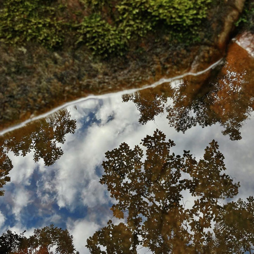 Imensuráveis Transformações . Poema de Carol Pommerehn