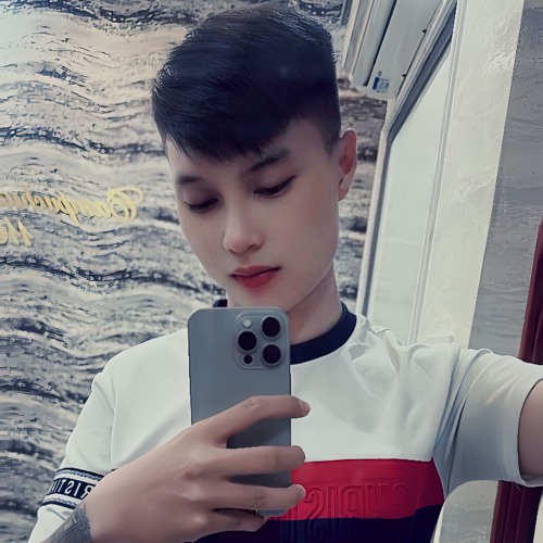 VIETMIX 2K25 - MỚI BIẾT YÊU - BI DATT
