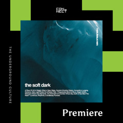 PREMIERE: Nutritious - Cenote [Liquid Culture]