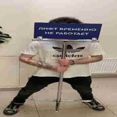 stupid