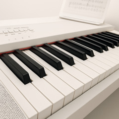 opus 6 sadness of chelsea