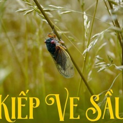 Kiep Ve Sau  - Hkid
