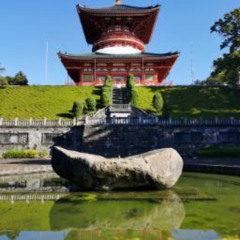 Jardines del Templo Shinjō-ji Narita-san (noche)