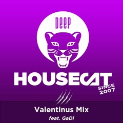 Deep House Cat Show VALENTINUS MIX - FEAT. GADI