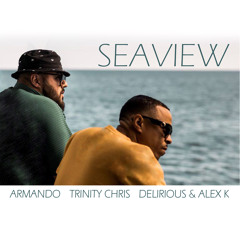Armando, Trinity Chris, Delirious & Alex K - Seaview