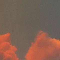 ////l