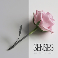 Senses