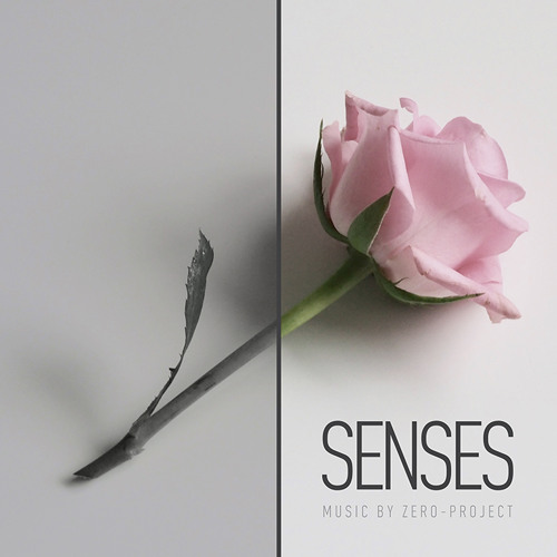 Senses