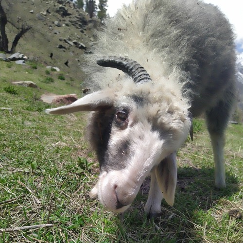 Sun Sathiya Nonstop  By Akshay Negi (DjRockerZ.Com)