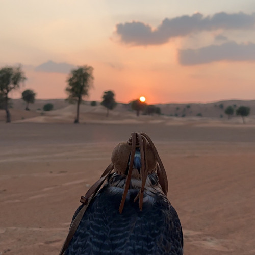 ‎⁨هبي علي ياباردات النسانيس  بطيئ  ♪  خالد ال بريك⁩