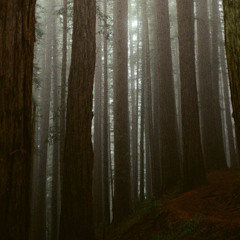 die-publics-vater-sohn-polypol