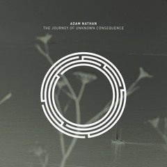 LTR Premiere: Adam Nathan - The Journey Of Unknown Consequence [RYNTH]