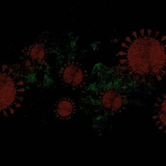 Michael Schick - P.P.