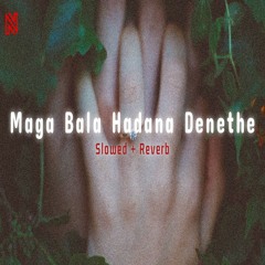 Maga Bala Hadana Denethe (Slowed + reverb)
