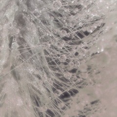 humid.
