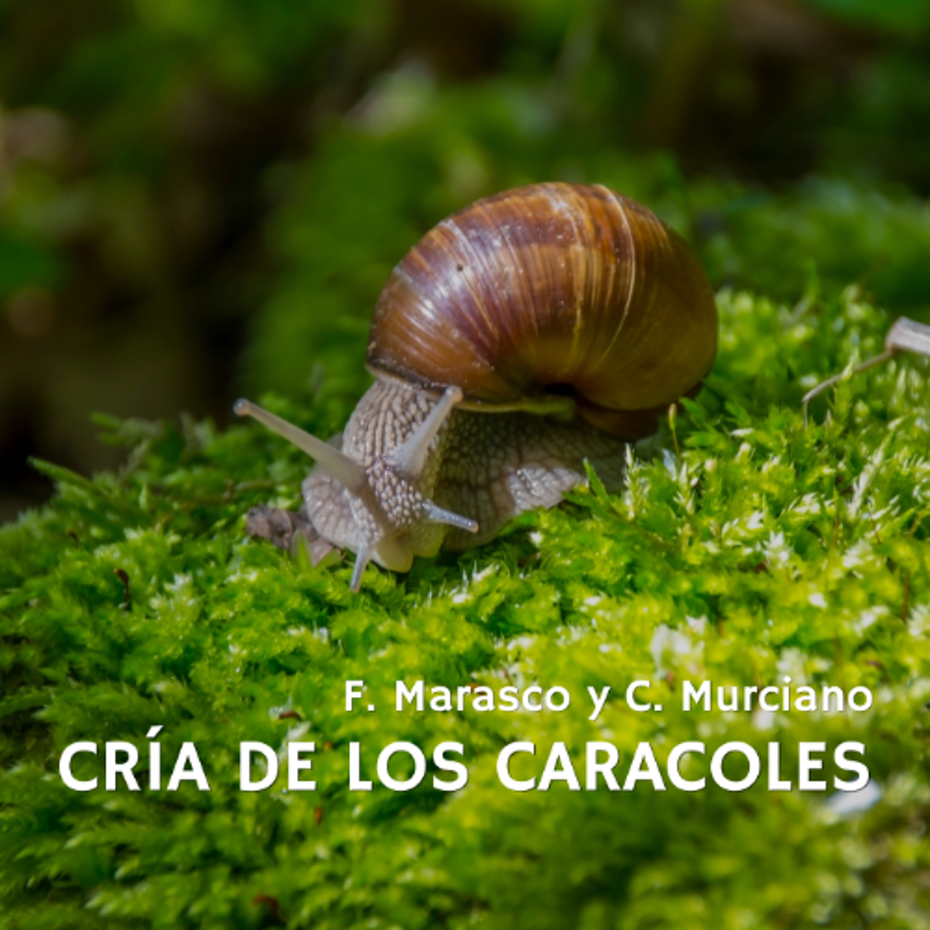 [#Podcast] Cría de los caracoles - Snail breeding episode artwork